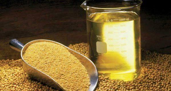 Top 3 Bamboo Product Suppliers in Vietnam in September 2026 - 1